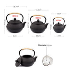 Japanese Cast Iron Teapot with Infuser